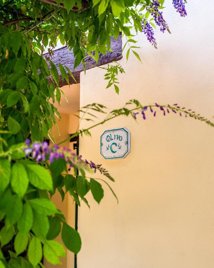 Agriturismo La Fonte Bevagna Εξωτερικό φωτογραφία