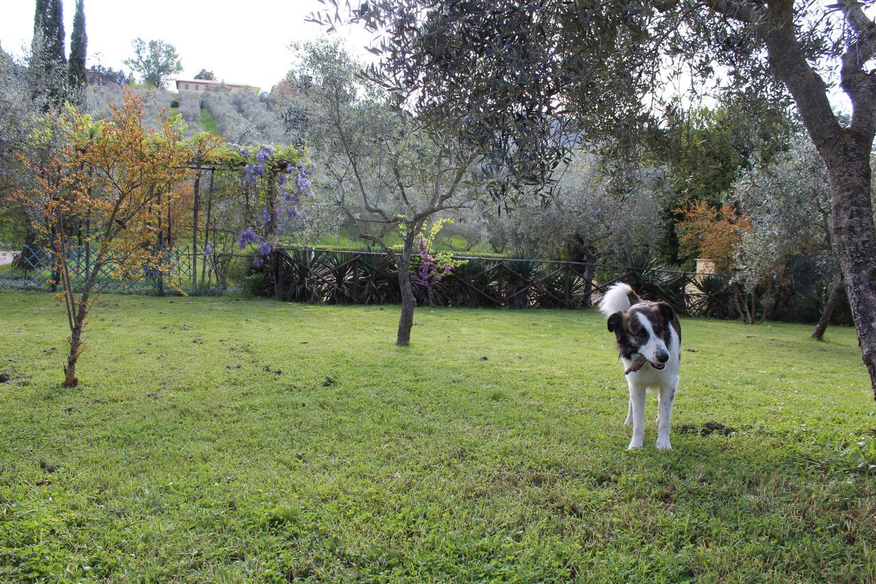 Agriturismo La Fonte Bevagna Εξωτερικό φωτογραφία